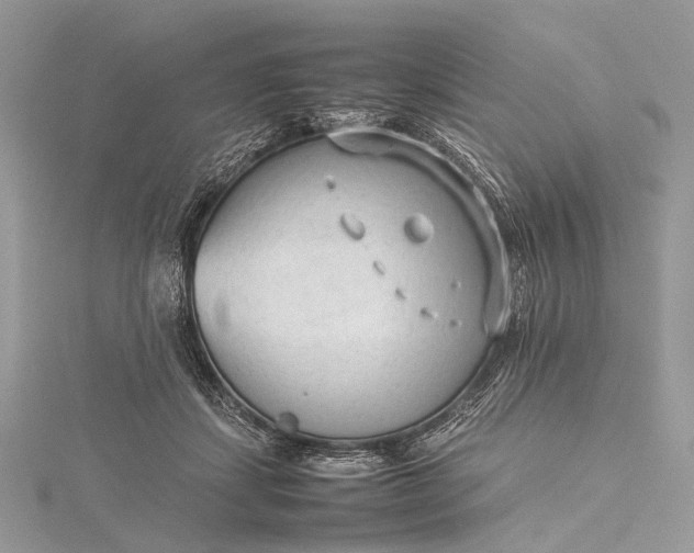 X0000115540459200911201743