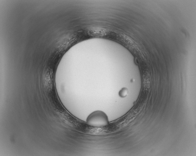 X0000115540460200911201743