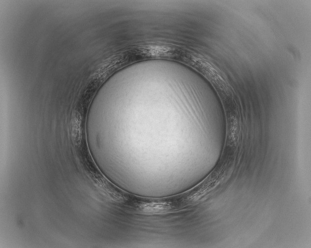 X0000115540461200911201743