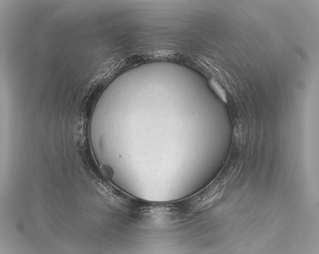 X0000115540462200911201743