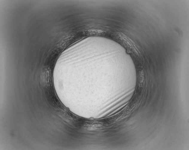 X0000115540463200911201743