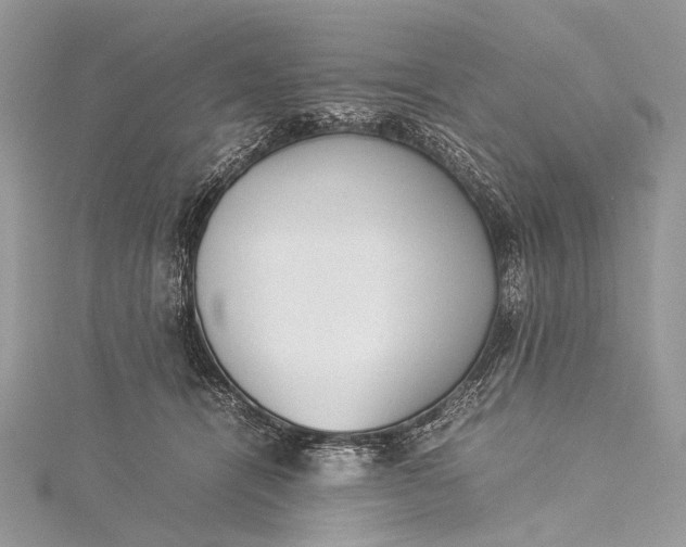 X0000115540464200911201743