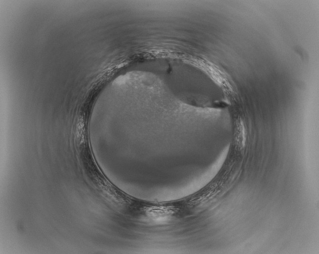 X0000115540465200911201743