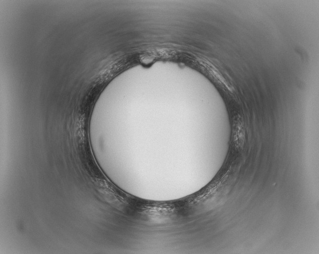 X0000115540466200911201743