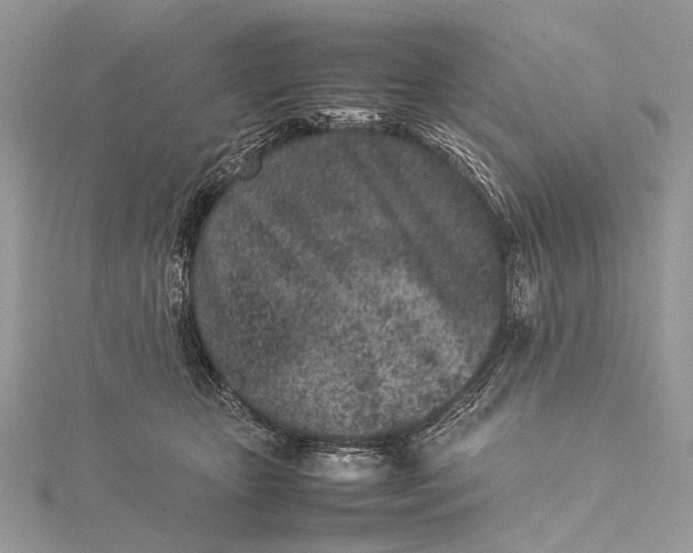 X0000115540467200911201743