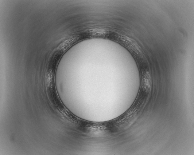 X0000115540468200911201743