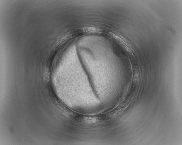 X0000115540469200911201743