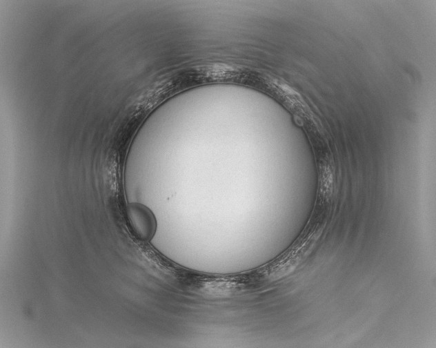 X0000115540470200911201743