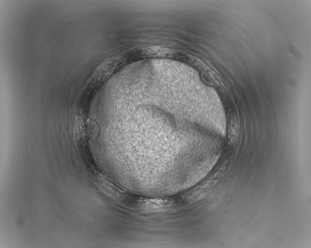 X0000115540473200911201744