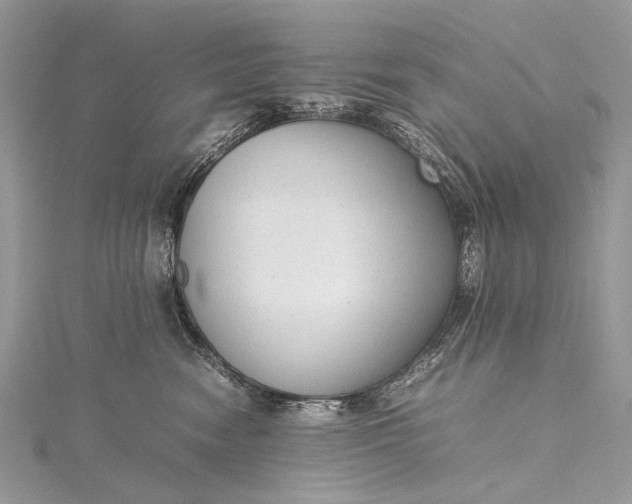 X0000115540474200911201744