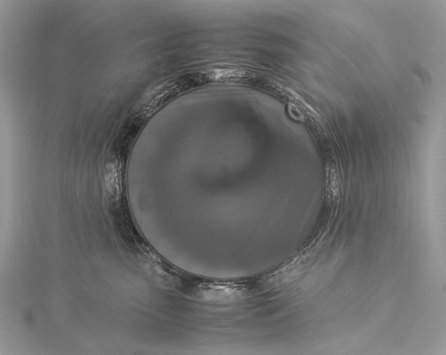 X0000115540475200911201744