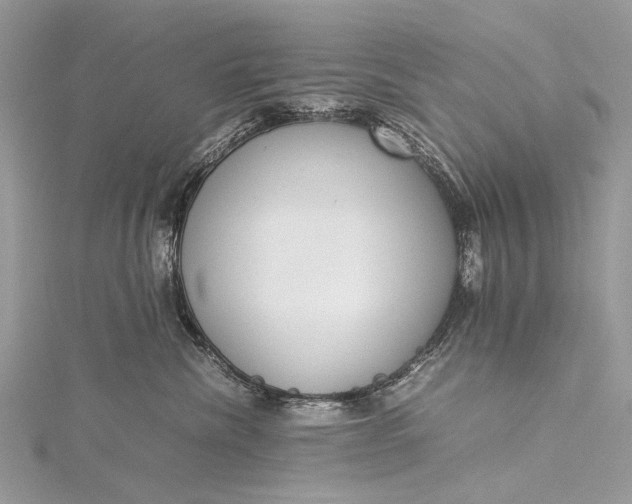 X0000115540476200911201744