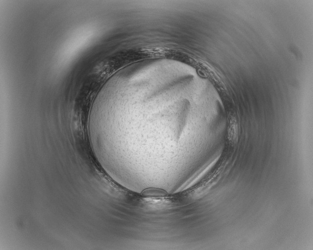 X0000115540477200911201744