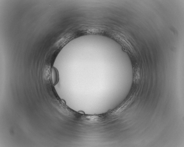 X0000115540478200911201744