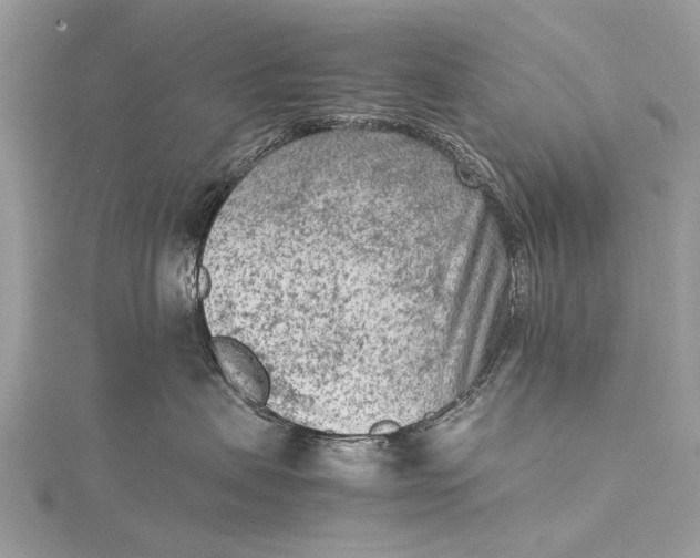 X0000115540479200911201744