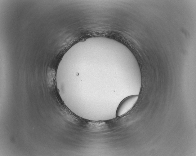 X0000115540480200911201744