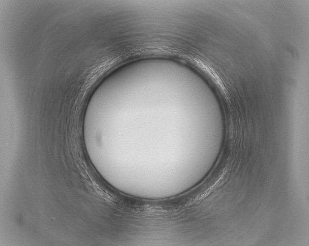 X0000115540481200911201743