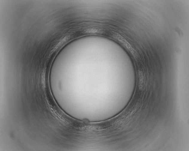 X0000115540482200911201743