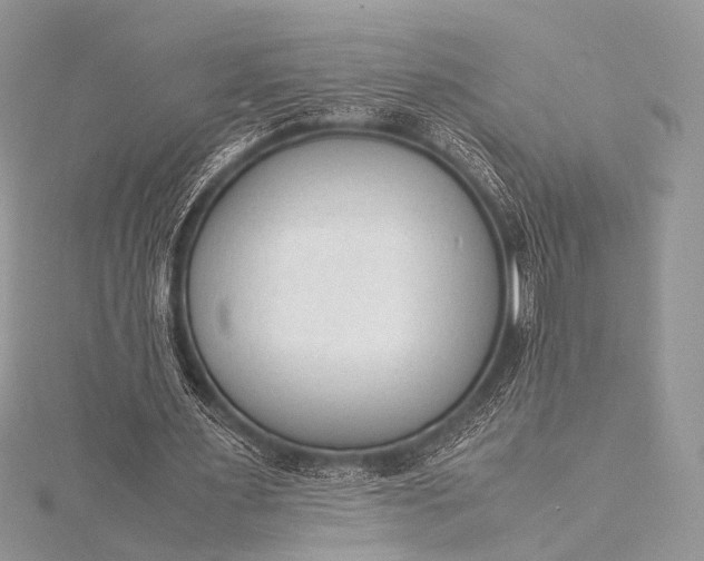 X0000115540483200911201743