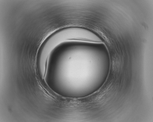 X0000115540484200911201743