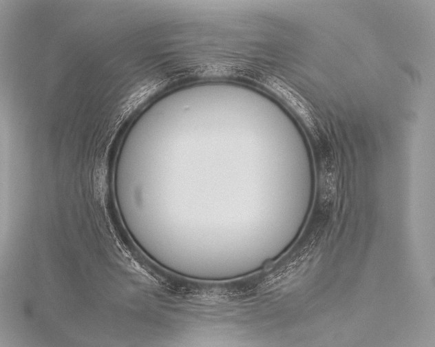 X0000115540485200911201743