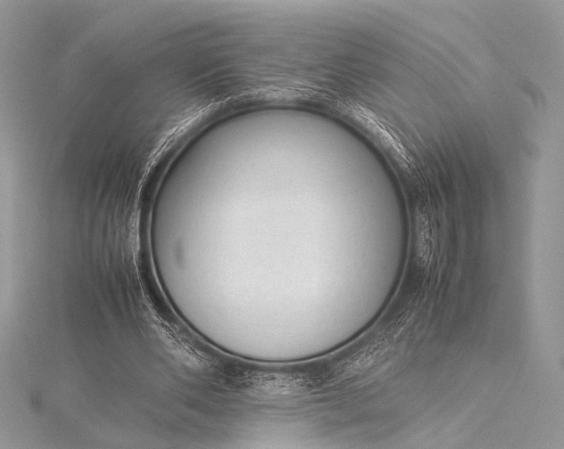 X0000115540486200911201743