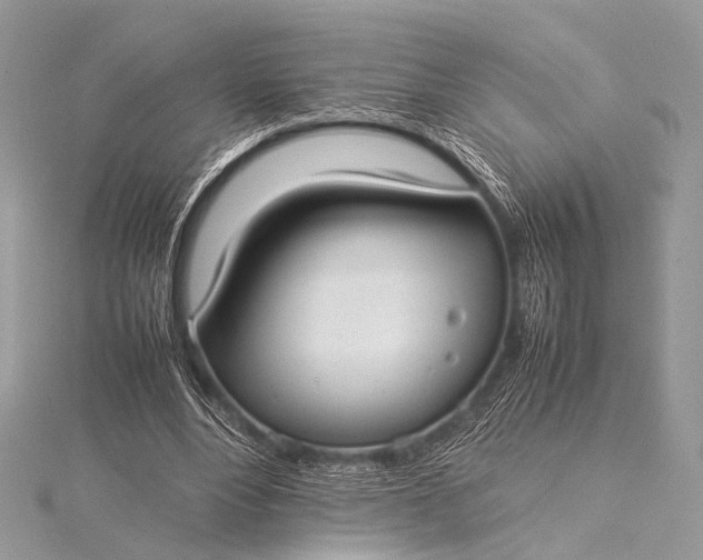 X0000115540488200911201743