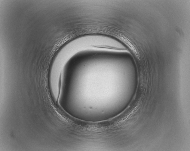 X0000115540489200911201743