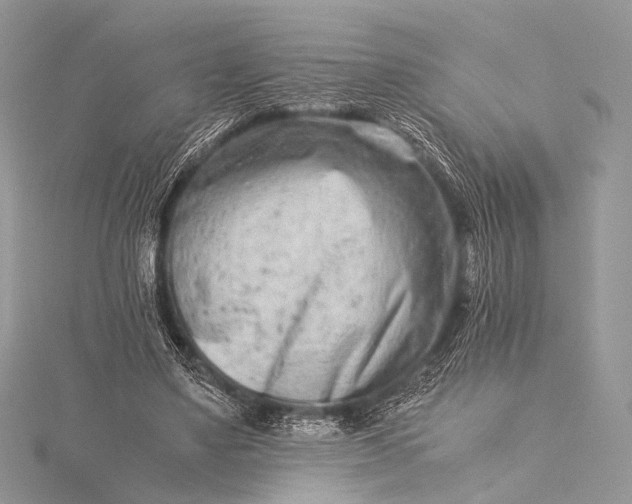 X0000115540491200911201743