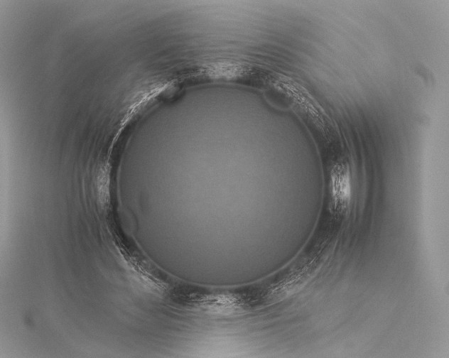 X0000115540492200911201743