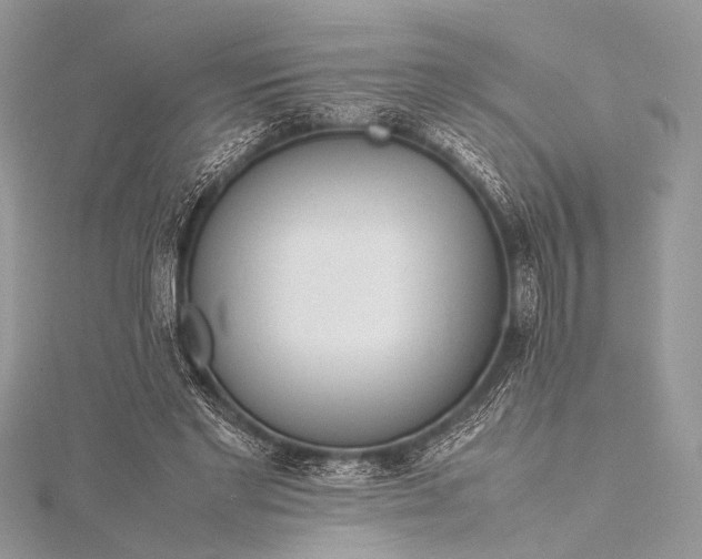 X0000115540493200911201743