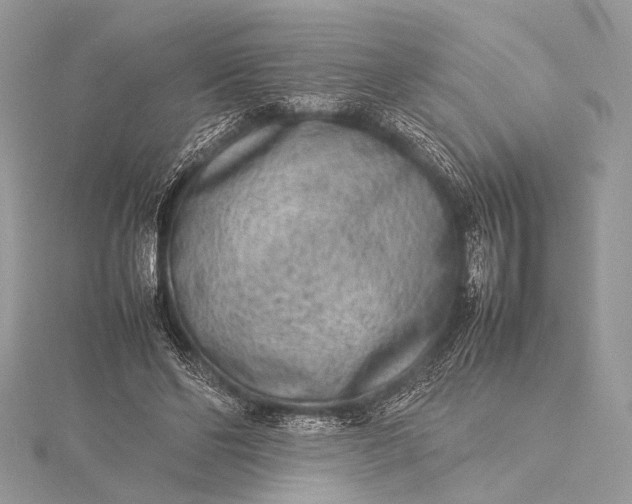 X0000115540494200911201743