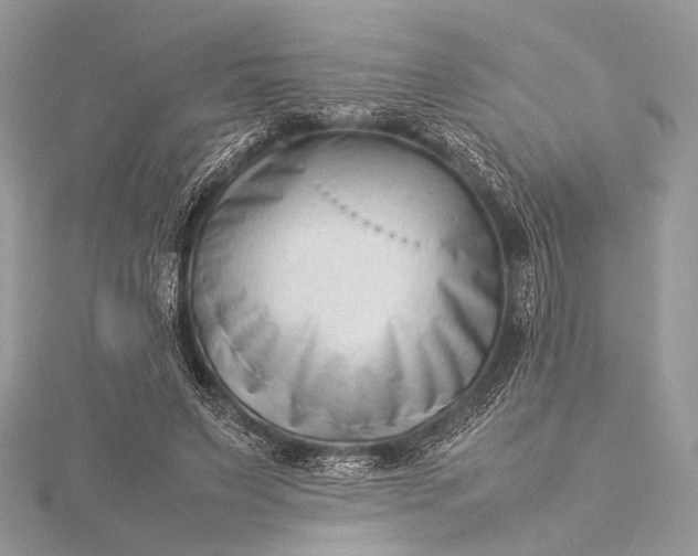 X0000115540495200911201743