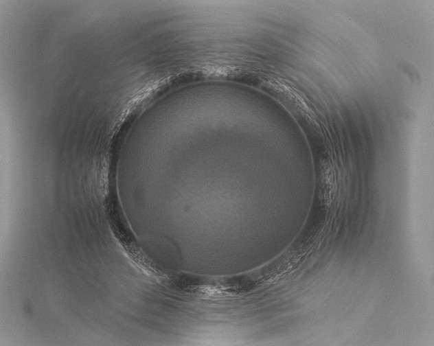 X0000115540496200911201743