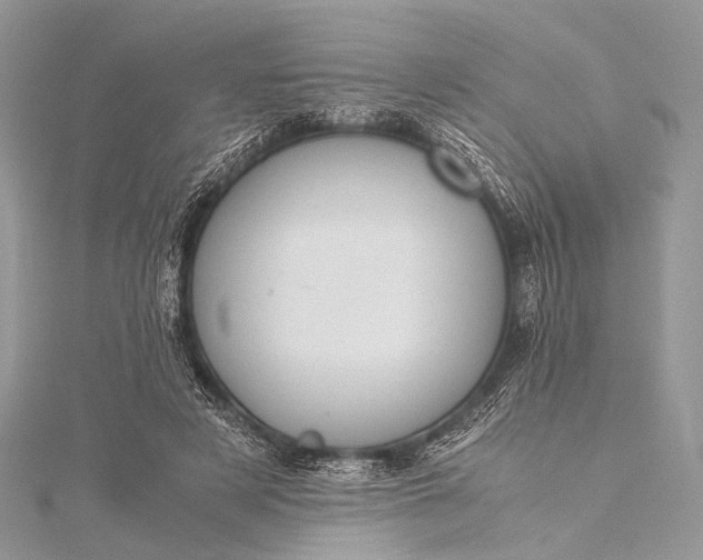 X0000115540497200911201743