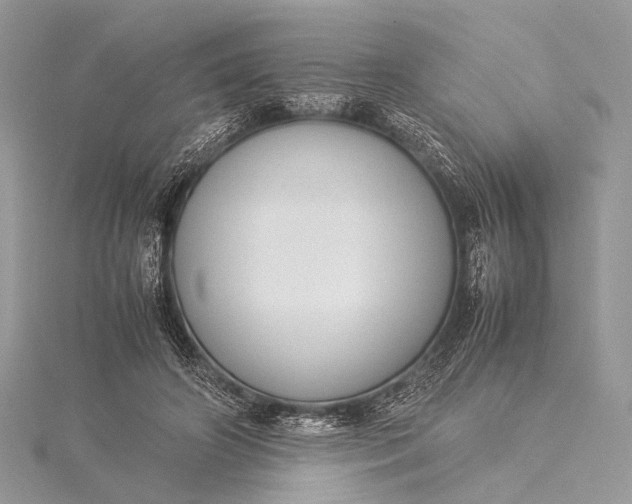 X0000115540498200911201743