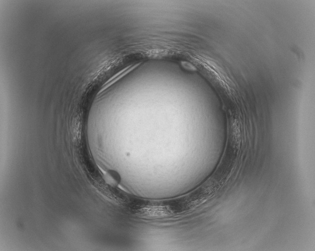 X0000115540499200911201743