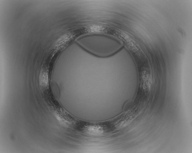 X0000115540500200911201743