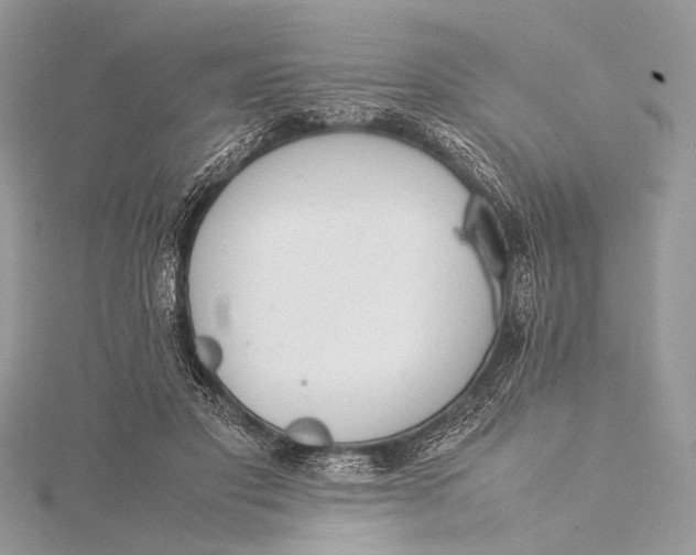 X0000115540501200911201743