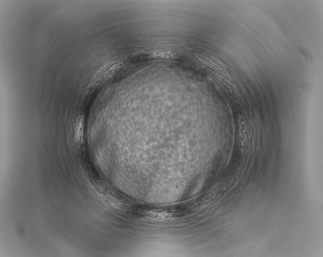 X0000115540502200911201743