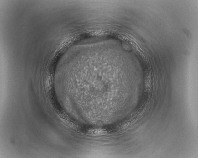 X0000115540503200911201743