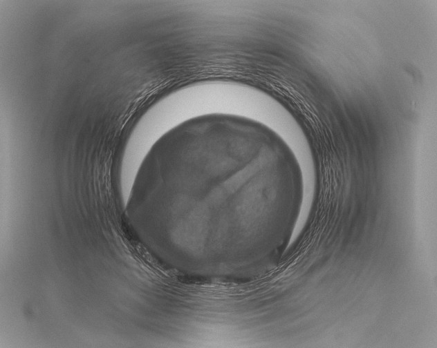 X0000115540504200911201743