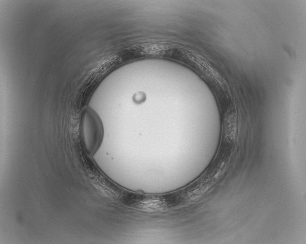 X0000115540505200911201743