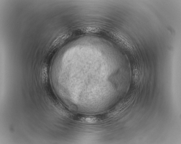 X0000115540506200911201743