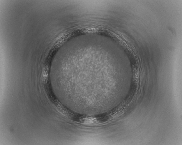 X0000115540507200911201742