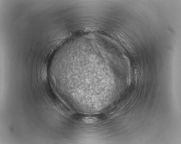 X0000115540508200911201742