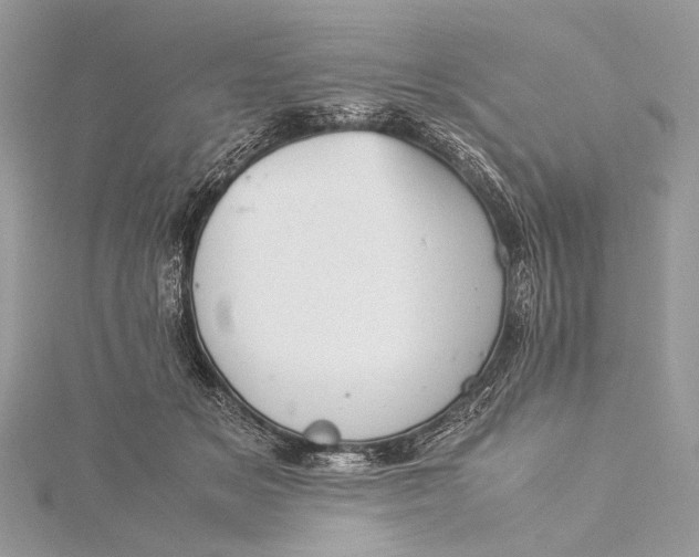 X0000115540509200911201742