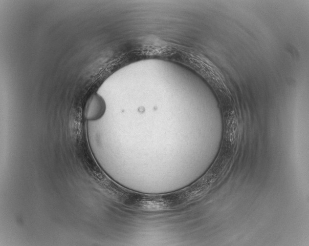 X0000115540510200911201742