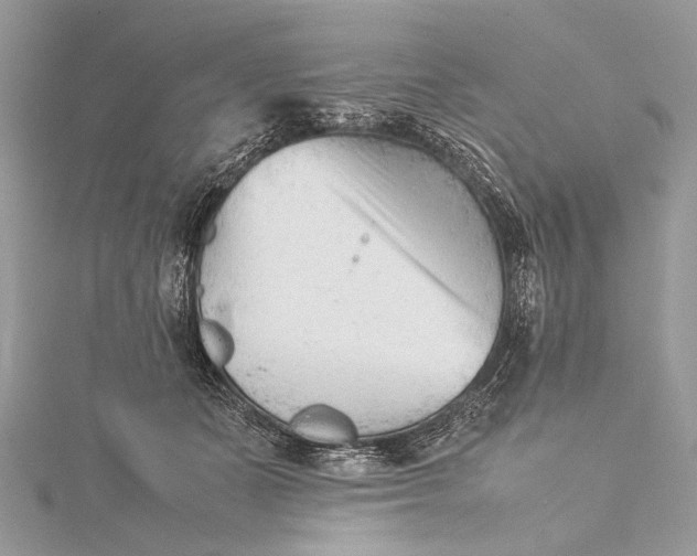 X0000115540511200911201742