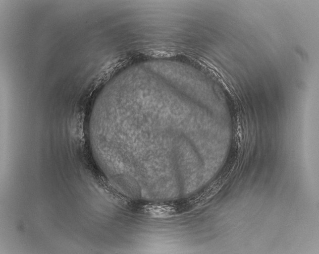 X0000115540512200911201742